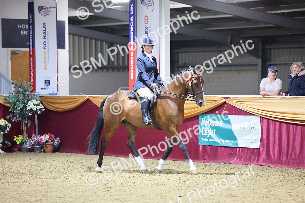 0B8A4520 - Class P Veteran Champ