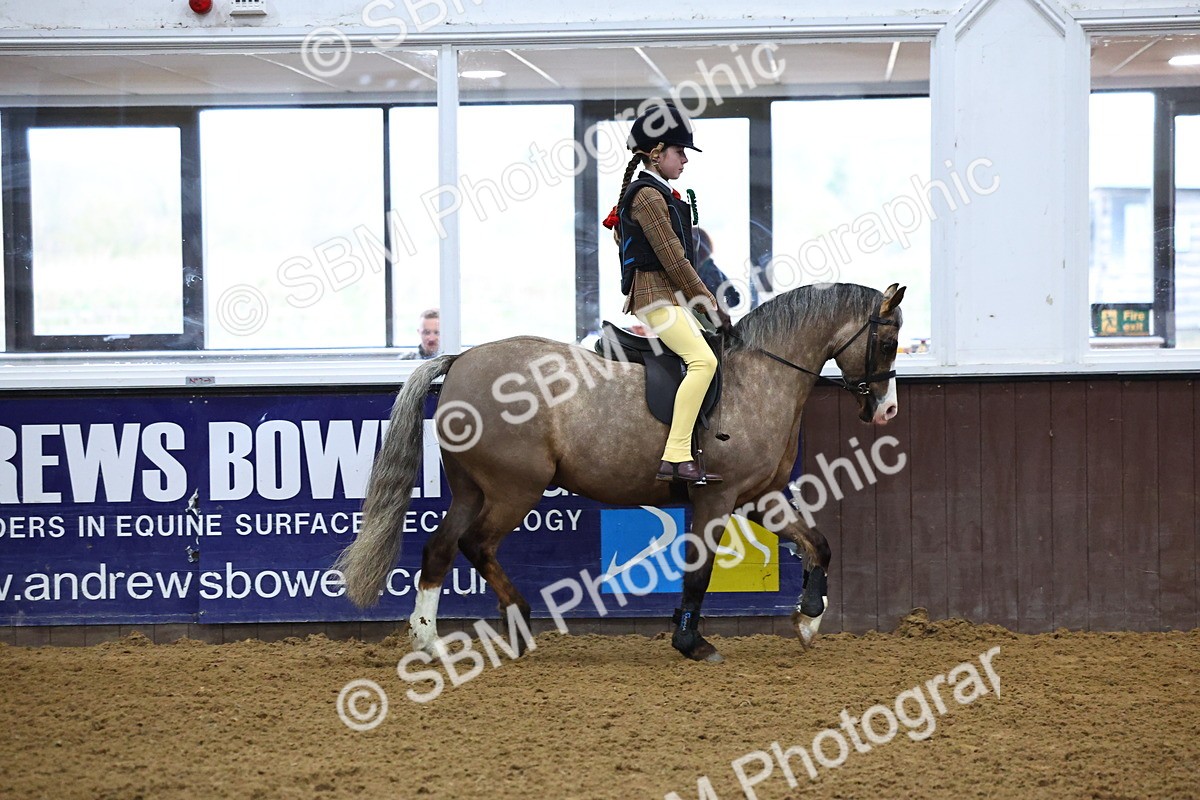 SBM_003224 - Class 35 - 60cm Training Stakes
