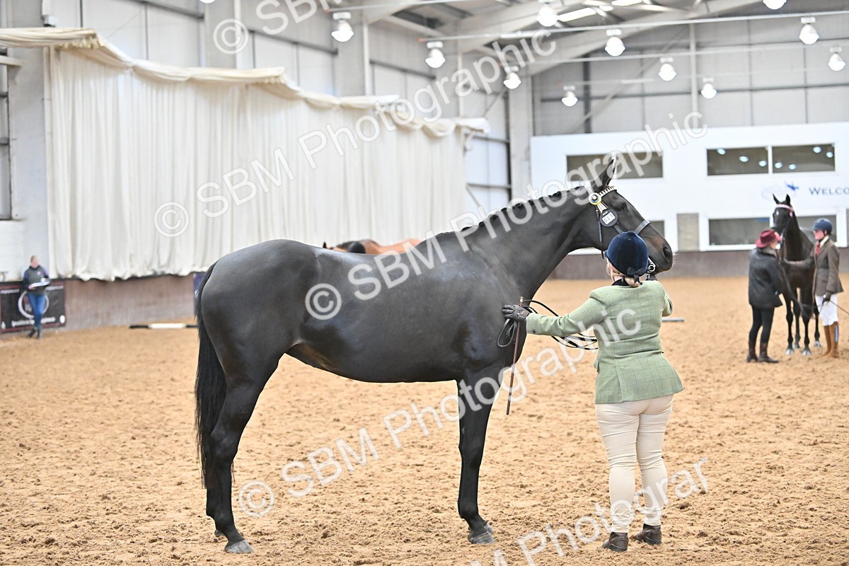 SBM_000241 - Class 7 - ROR Tattersalls In Hand