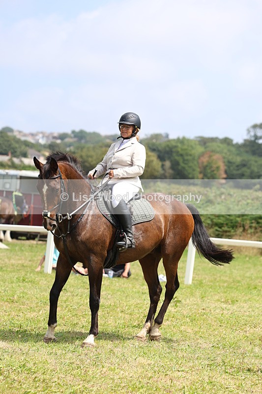 3E7A3019 - Class 7: Senior British Novice/90cm open