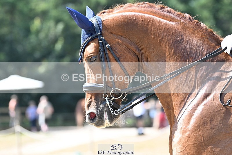 250810A-113618-06033_099-MissHannahBiggsDutchHabourH - 077-704-2164