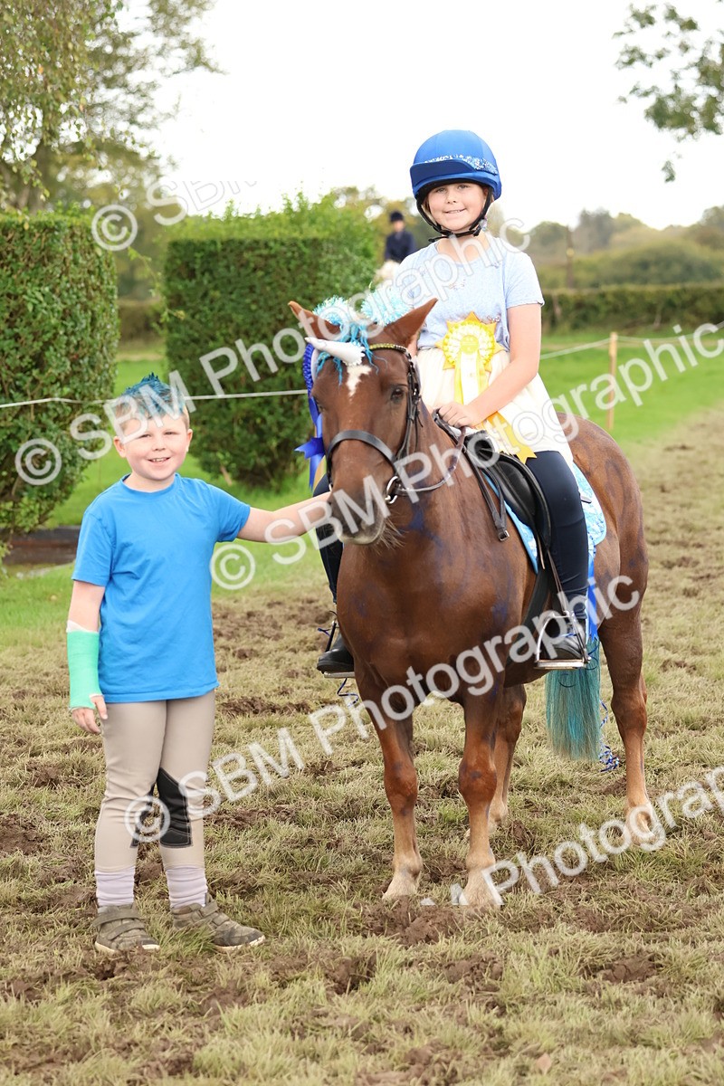 SBM_62242 - S37b - Best Unicorn