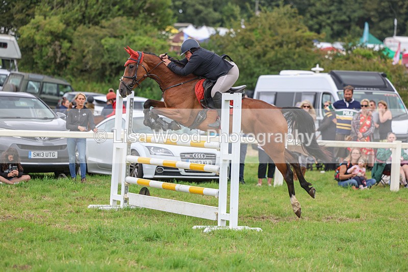 3E7A8261 - Class 7: Senior Newcomers/1.10m open