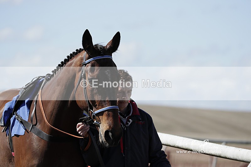 PtP 100423 549 - Old Berkshire Point-to-Point Lockinge 10/04/23