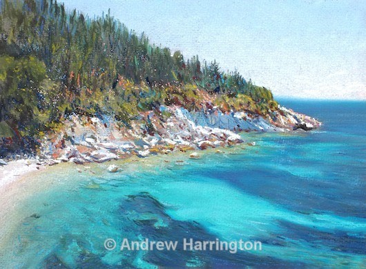 pine cove - Paintings 1