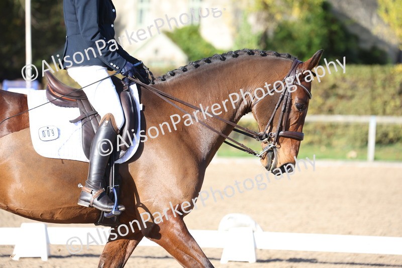 20251102-1007 - Class 5 - Elementary 5