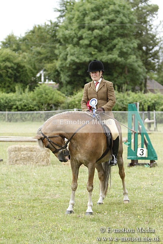 BVR160717-431 - Ring 3 BVRC Show 16/07/17