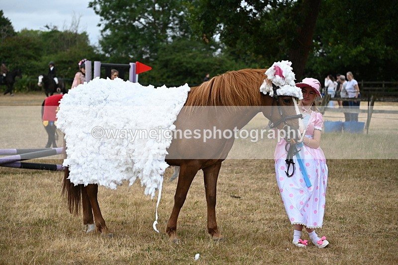 WJ6_8772 - Class 11 Fancy Dress