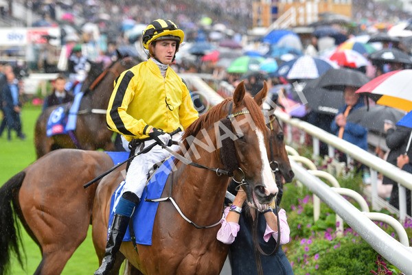 yr21082021r4-39 - Race 4 3.35pm Sky Bet Ebor