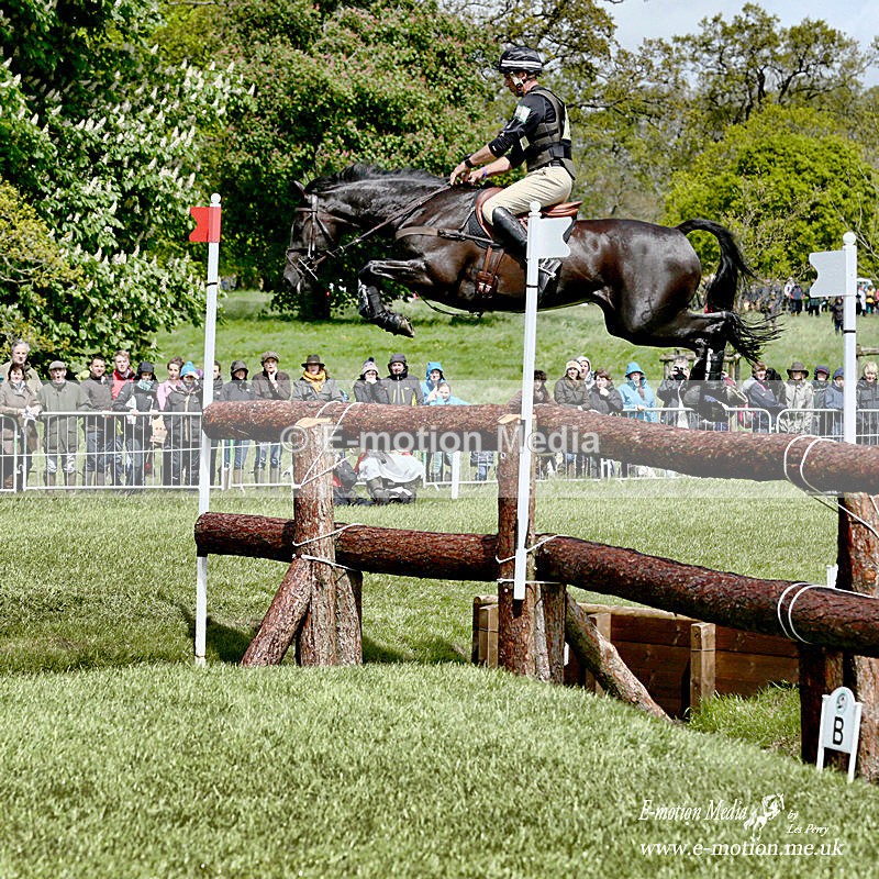 _LES9675ba - Equestrian