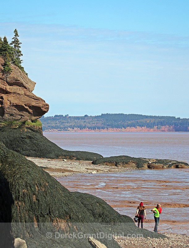 The Rocks @ Hopewell Cape - 10 - The Rocks @ Hopewell Cape