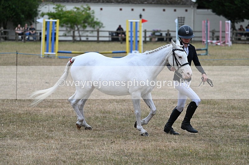 WJ7_8313 - Class 4 Prettiest Mare up to 14.2hh