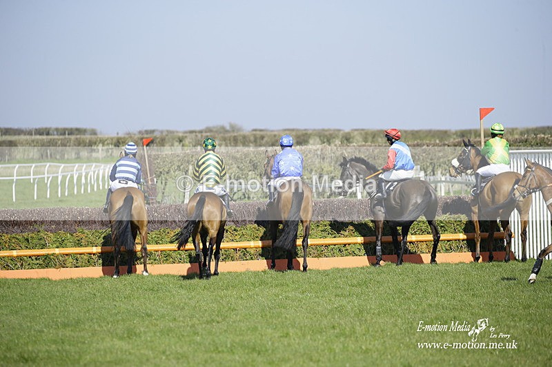 PtP 190322 187 - Wilton Hunt PtP Milborne St Andrew 19/03/22