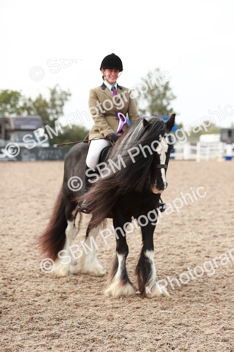 SBM_16835 - Class 214 Ridden Cob