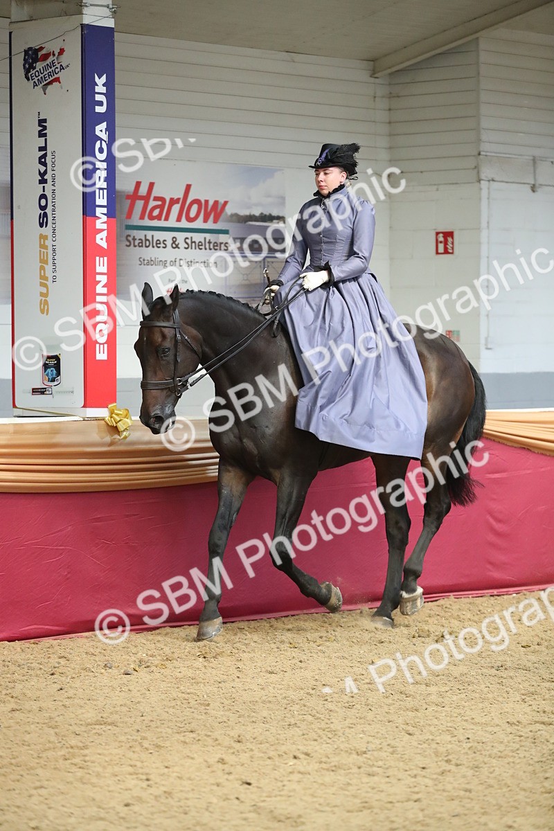 SBM_11594 - Class 105 Ridden Costume- Side Saddle