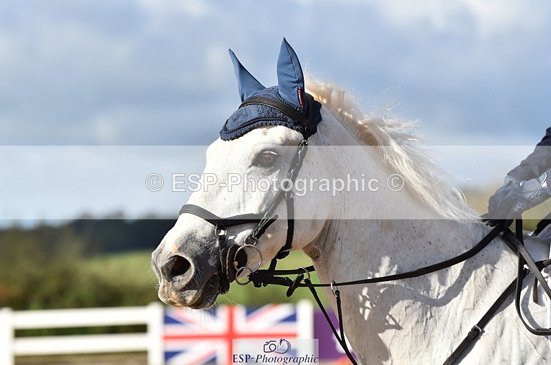 231014A-104230-03871 - Cls 13 85cm Amateur Q 2nd R