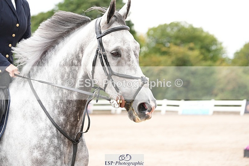 250731-123026-01666 - Cls 09  95cm Nat Am Qual