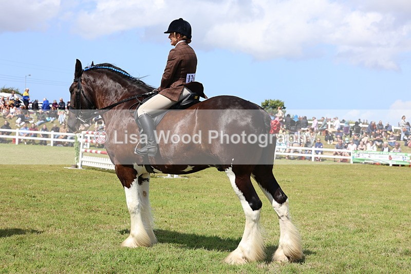 3E7A2924 - Class 13: Heavy Horse Ridden