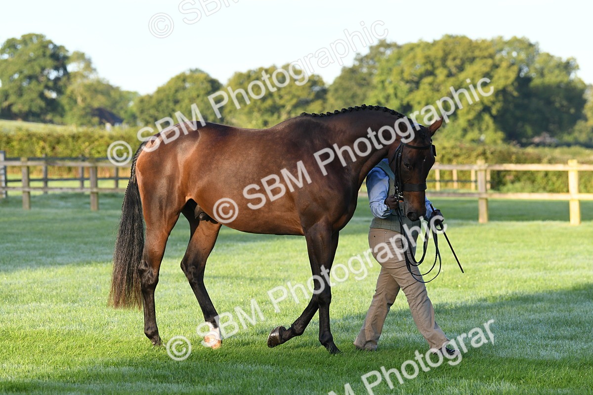 SBM_32462 - S15 - Condition & Turnout In Hand