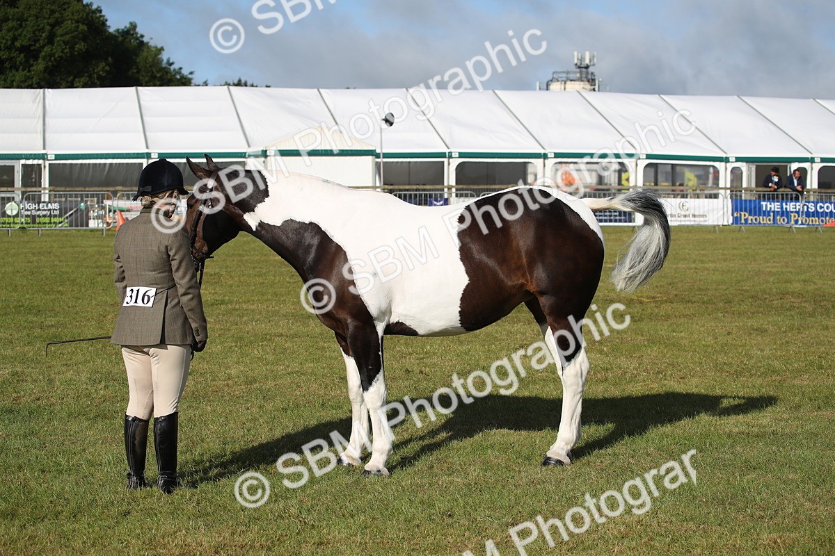 SBM_11120 - Class 92-93 - LIHS BSHA Rising Star Cobs
