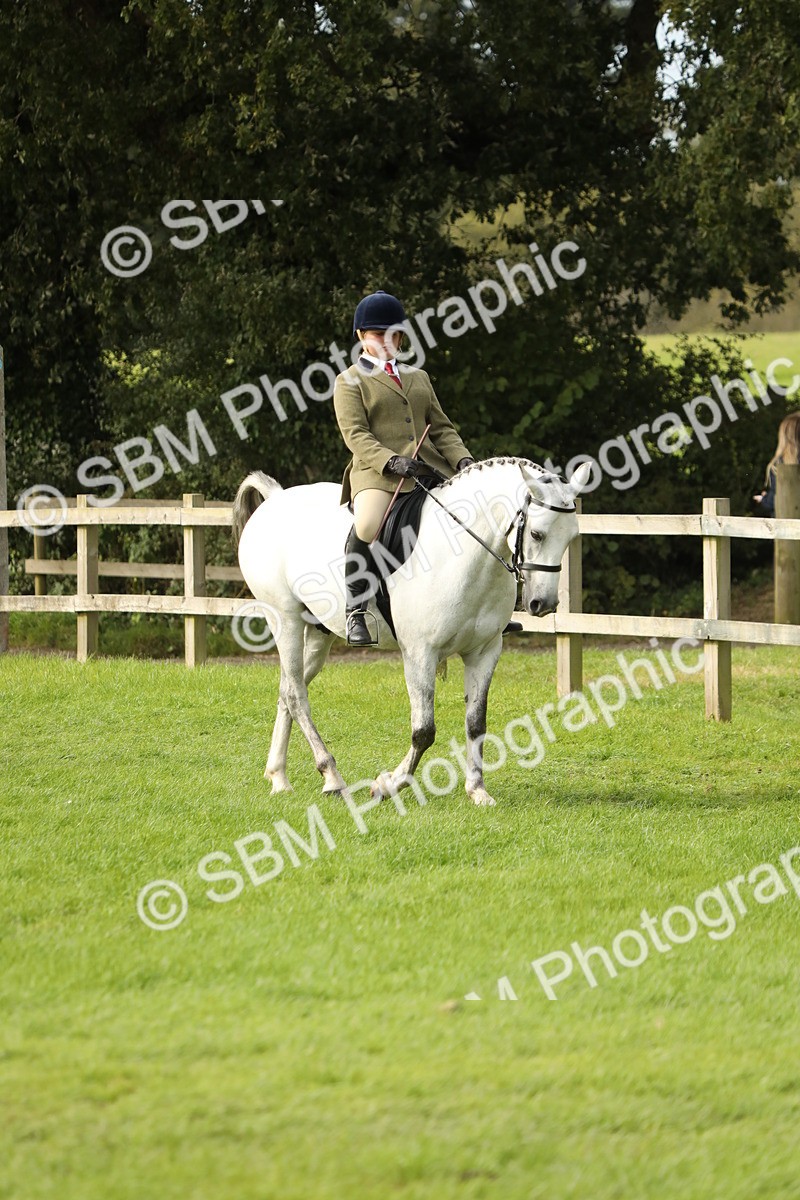 SBM_71464 - S41 - Ridden Equitation (Best Rider)