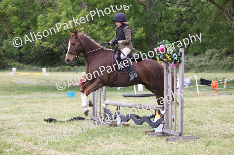 20260614-2744 - Class 22 - Open Working Hunter