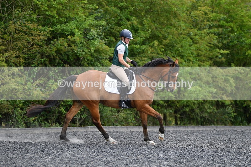 WJ5_0214 - Time 11:47 to 12:21