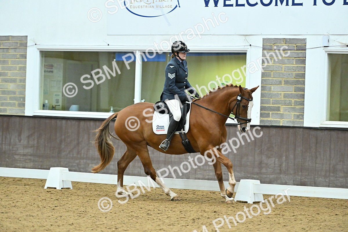 SBM_007556 - Class 81 - Novice 3