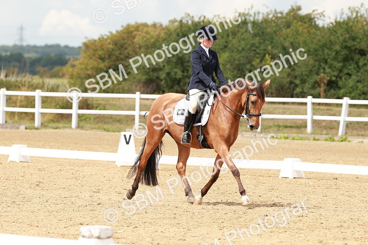 SBM_001771 - Class 8 - Elementary 6