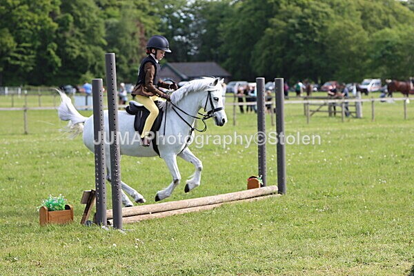 IMG_2128 - Working Hunter