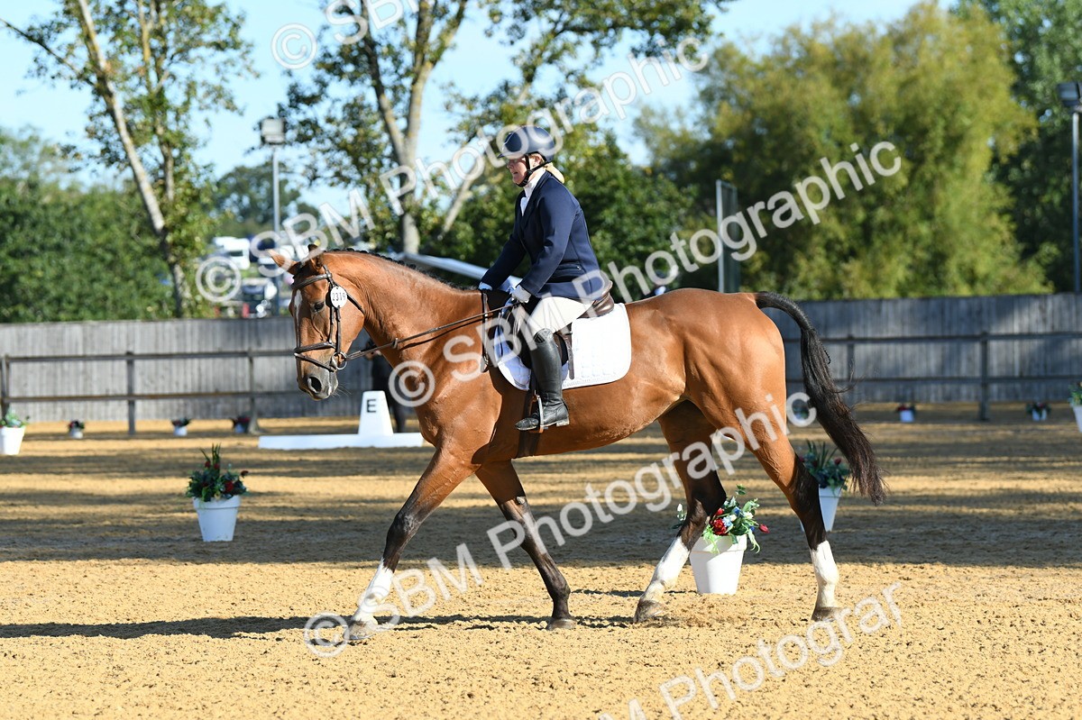 SBM_16222 - D4 - Small Tour Championship - Intro B