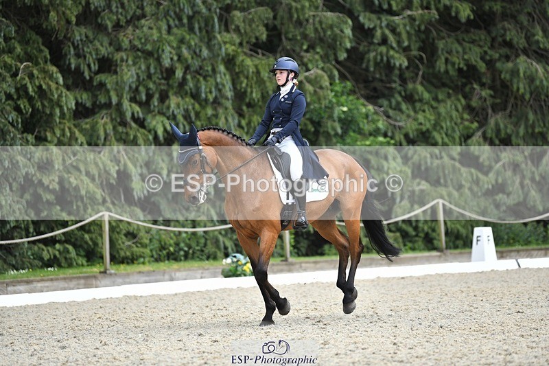 230525-154340-03294 - 329-VINTAGE_GRAFFITI-Alice_Hallows-WEDTrotUp+DR