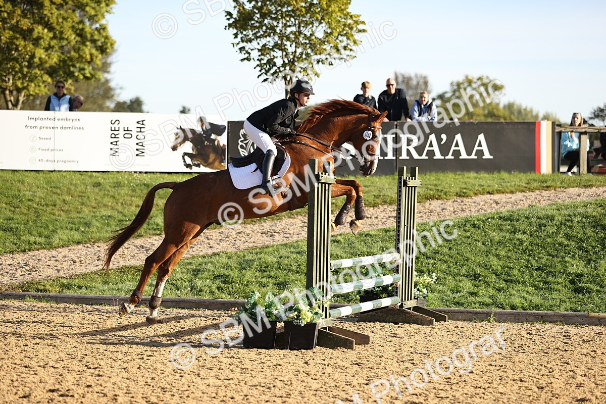 SBM_33162 - J38 - Senior 80cm Championship