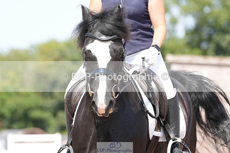 250817-135350-10525 - 169-Amber.HeywoodWalena.Rockocoko