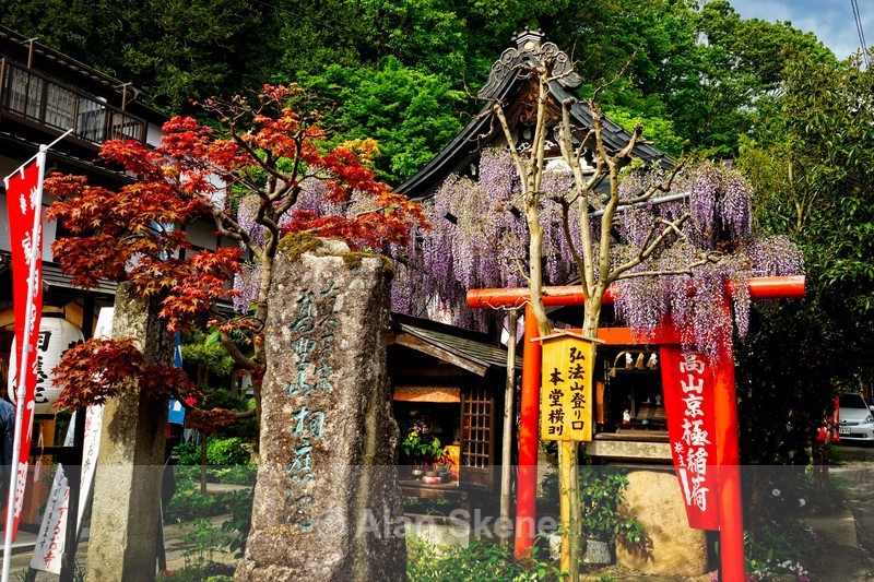 DSC05066 - Takayama