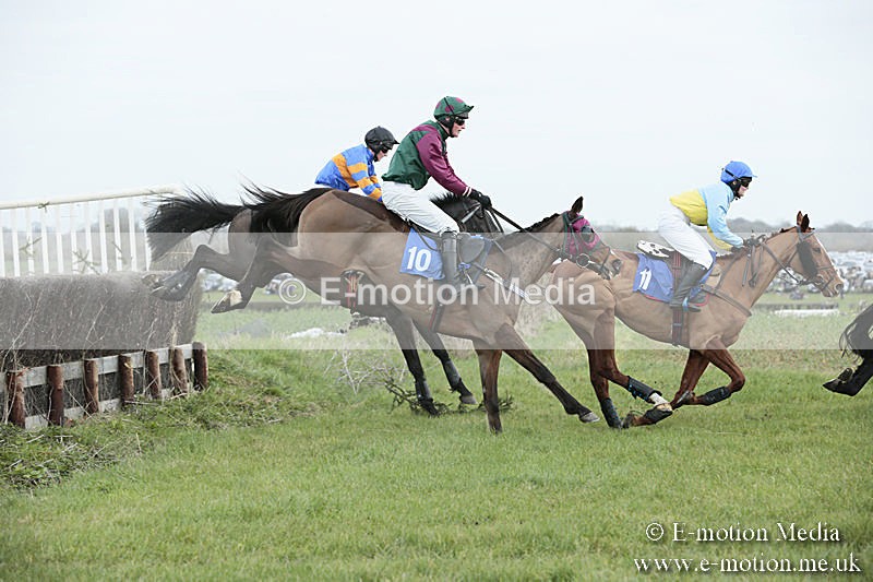 PtP 230319 123 - VWH Hunt Siddington Point-to-Point Racing 23/03/19