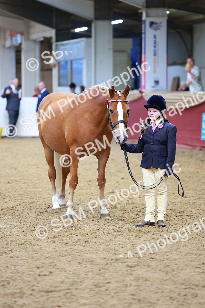 SBM_04258 - Class 9R - IH Pre-Vet