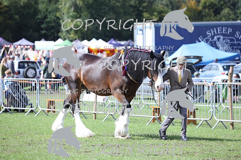 APP_3414 - Class 6 Young Handlers