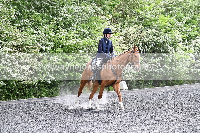 WJ7_0822 - Time 14:01 to 14:12