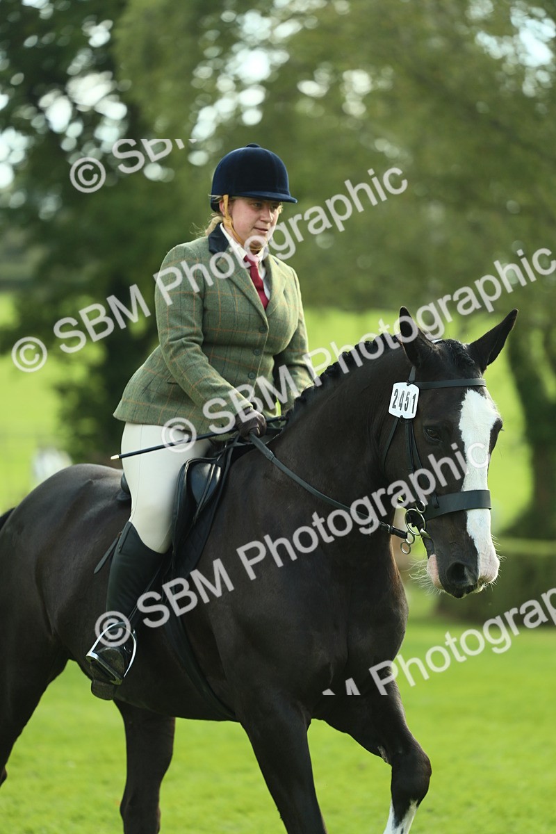 SBM_50699 - S33 - Working Hunter & Working Show Horse