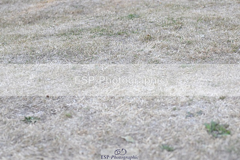 250823A-183358-34318 - All Sat Presentations