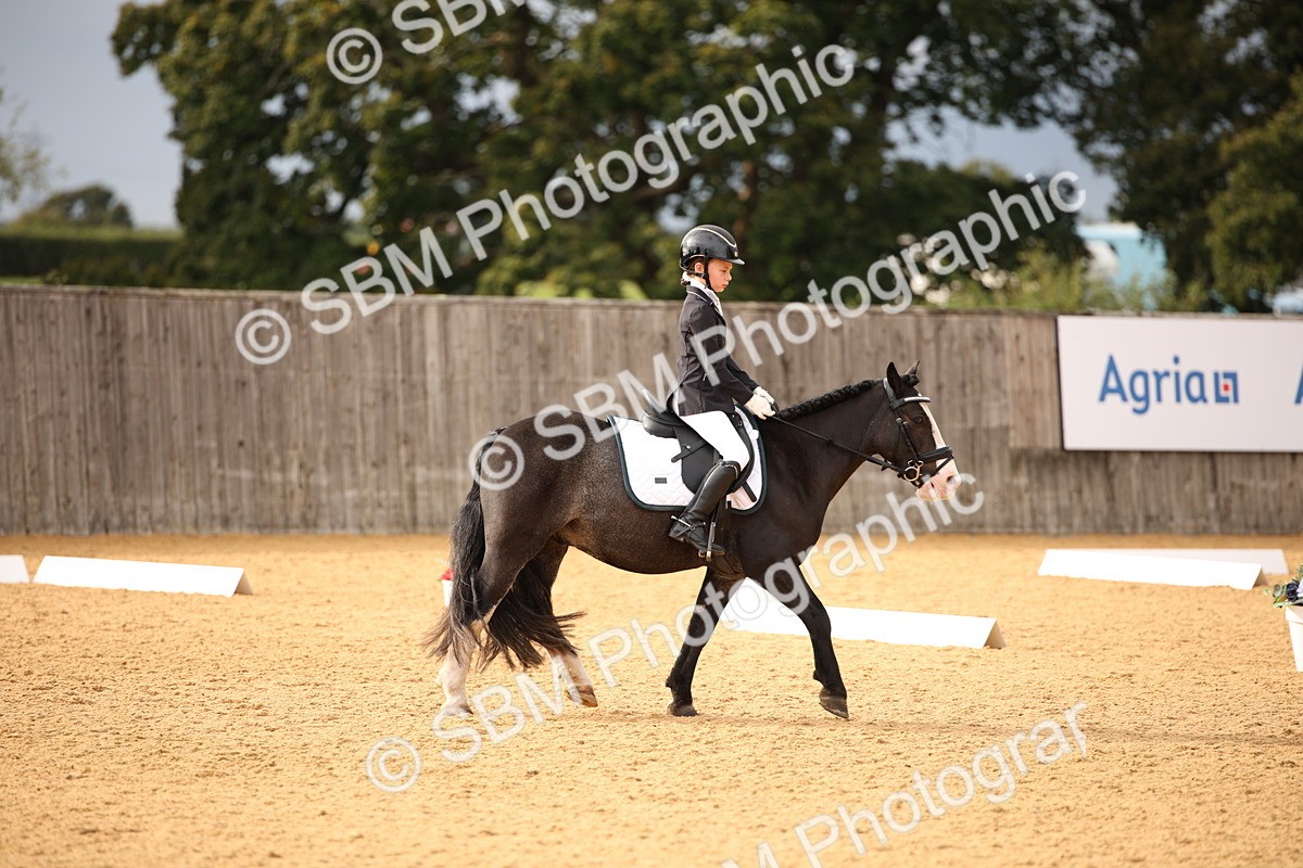SBM_12277 - D3 Small  Tour Championship Intro A