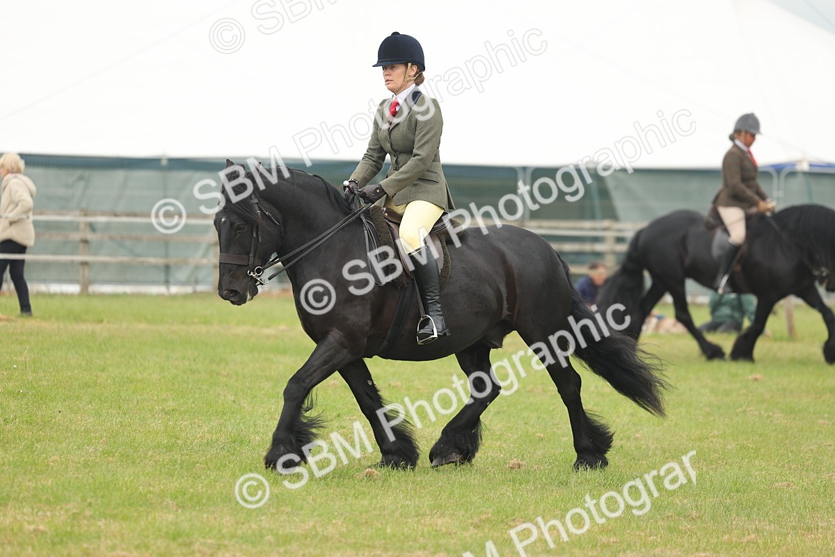 SBM_08961 - Class 78-80 - Ridden M&M Non Welsh Ponies