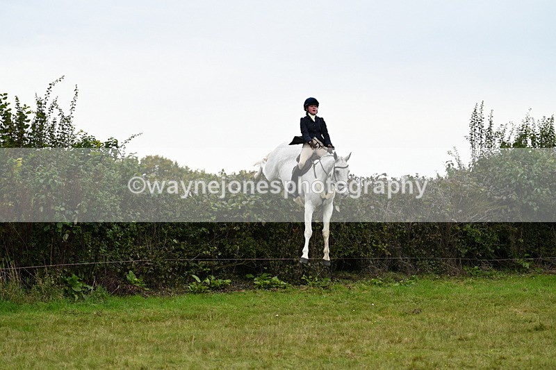 WJ7_4077 - Camera 1 Line 2