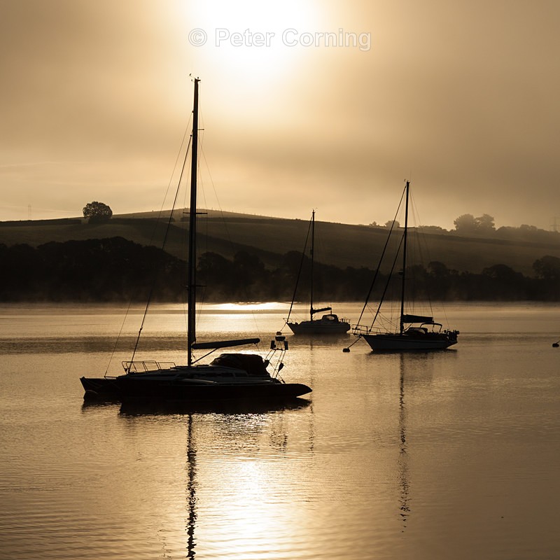 Cornwall2014-140820-236 - Recent photo's