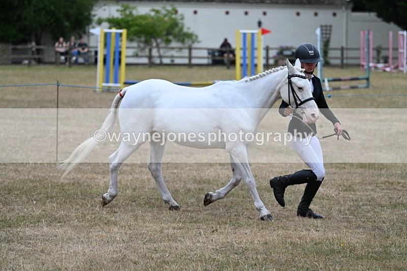 WJ7_8312 - Class 4 Prettiest Mare up to 14.2hh