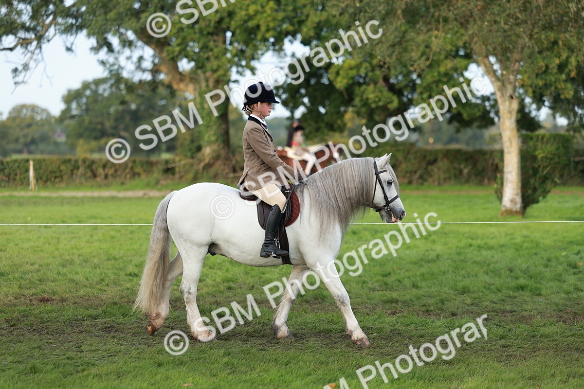 SBM_56269 - S39 - Starters In Hand Showing
