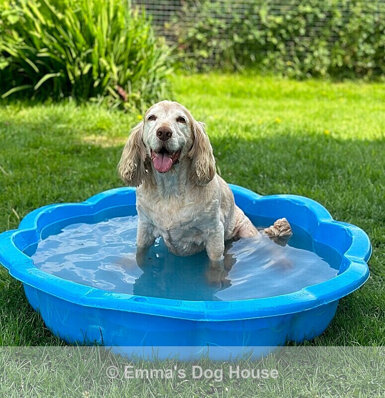  - House and Grounds