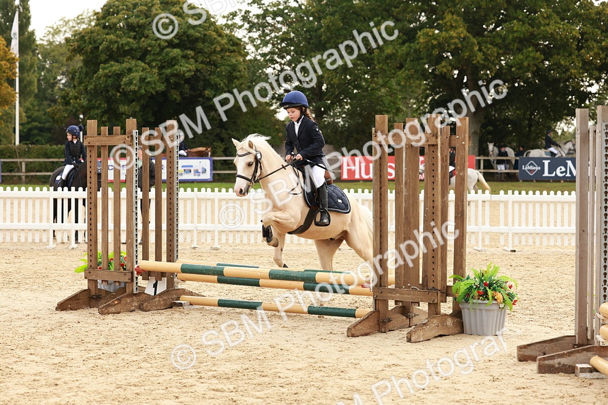 SBM_57663 - J11 - Junior Pony 50cm Championship