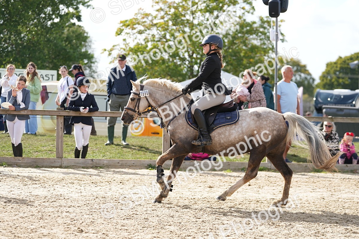 SBM_48541 - J7 - Junior Pony 60cm Championship